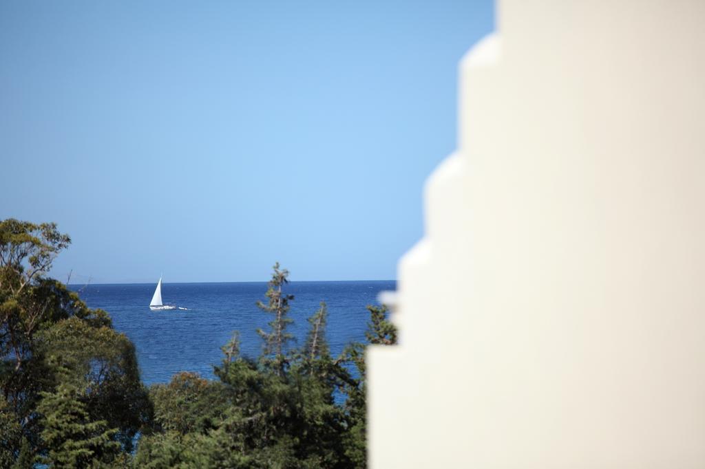 Vila Aithra -Agios Petros Andros Gavrio Exteriér fotografie