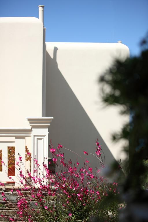 Vila Aithra -Agios Petros Andros Gavrio Exteriér fotografie